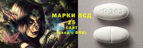 прущие грибы Бородино