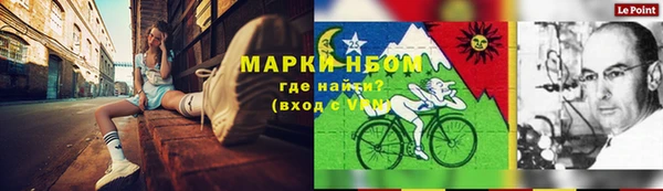прущие грибы Бородино