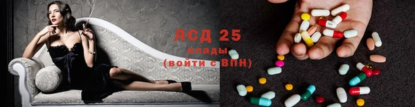 прущие грибы Бородино