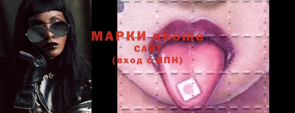 прущие грибы Бородино