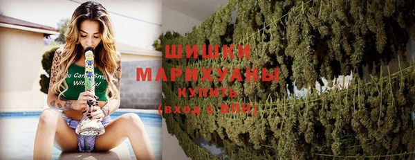прущие грибы Бородино