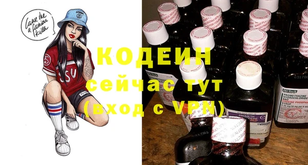 прущие грибы Бородино