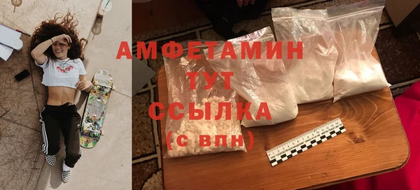 прущие грибы Бородино