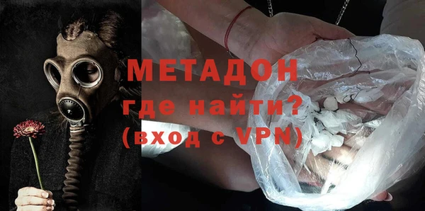 прущие грибы Бородино